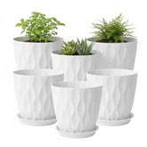 LESOASIS 8-inch white pot for a clean indoor display.