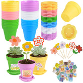Letesult cupcake pot in mixed colors for vibrant indoor displays