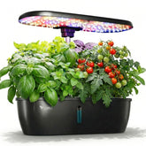LETPOT hydroponics 12-pod system on countertop for fresh herbs