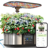 LetPot LPH-Max system front view for year-round indoor growing.