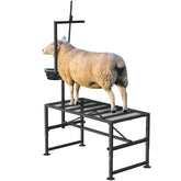 Lezbanz 600lbs goat stand with feeder – sturdy platform for gentle milking and trimming.