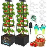 Lezmarket tomato planter setup demonstrates a compact self-watering kit for healthy growth.