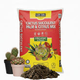 LGM Premium Cactus Soil with volcanic ash for superior drainage and succulent roots