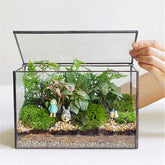 Libproqia glass terrarium with lid for moss, ideal as a desk centerpiece.