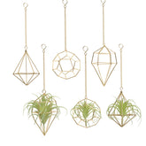 Libproqia gold football-hanger displays a small air plant for chic ceiling decor.