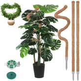 LifeNest 50 inch moss pole supporting monstera with air root growth