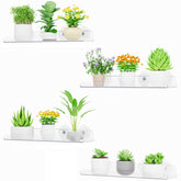 Lifewit window plant floating shelf installed on glass, space-saving display.