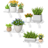 Lifewit window shelf setup on glass enables sunlit plant display.