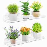Lifewit window shelves suction cups setup for drill-free mounting.