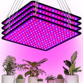 Liliful 4-pack grow light panel front view for compact seedling growth.
