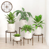 Linpla 5-pack bronze plant stand top view with guard rails for stability