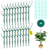 Linyona Monstera stakes stackable design supports tall indoor vines