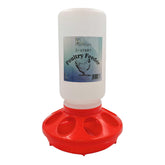Little Family Members Chick Feeder 1qt front view shows compact capacity for small chicks and quail.
