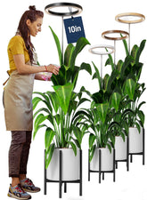 Little Joke 10-inch grow light ring over a large plant promoting growth