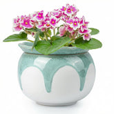 Litudiso African Violet Pot with gradient green glaze for stylish indoor planting and moisture management.
