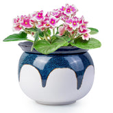 LITUDISO gradient blue 6-inch pot, stylish indoor planter for violets and more