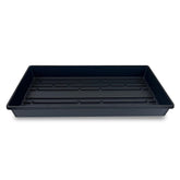 Living Whole Foods 5-pack drain-hole-free trays, top view ideal for seed starting.