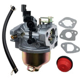 LIZAPUS Huayi carburetor kit components ready for replacement and inspection