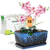 LKSSZS ceramic orchid pot 10-inch with holes supports healthy root growth.
