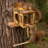 Lnncdsc Squirrel House on a tree provides a safe outdoor nest for wildlife.