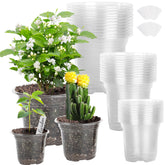LOCONHA clear 5-inch seed starter pot for easy root monitoring and watering control.