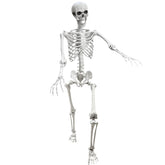Lodou life-size skeleton ready for dynamic poses and haunting displays.