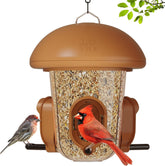 LO NA LOVE NATURE lona birdfeeder with dome cover attracts backyard birds.