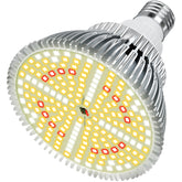 Lonwon LED grow light full-spectrum illuminates lush indoor greens with vibrant color