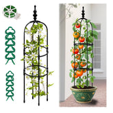LOOMINGSX Trellis Obelisk 6ft supports tall vines and blooms outdoors.