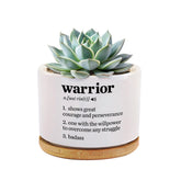 Loovelo Warrior Definition ceramic succulent pot with bamboo tray on a bright desk, ideal minimalist decor.