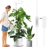 LORDEM 10-inch grow light halo over tall indoor plants promoting vibrant growth
