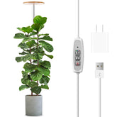 LORDEM Bamboo Grow Light full spectrum panel illuminates indoor plants for healthier growth.