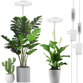 LORDEM full-spectrum LED grow light pair supporting versatile indoor plant growth