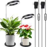 LORDEM grow light with a stable base for secure desk plant placement.