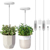 LORDEM Grow Light halo design for aesthetic display and plant growth support