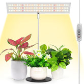 LORDEM grow light panel front view for compact desk setup, promotes plant growth.