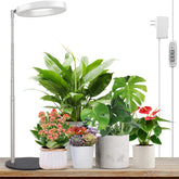 LORDEM Grow Light with stable base supports desk plant setups
