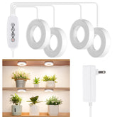 LORDEM Halo Grow Light showing full spectrum LEDs for indoor plant growth