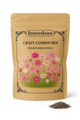 Loseedsoo Crazy Cosmos Mix pack featuring vibrant blooms for a colorful garden.