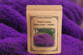Loseedsoo Purple Creeping Thyme seeds pack for dense ground cover