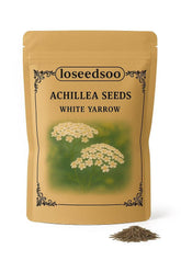 Loseedsoo White Yarrow seeds bulk pack ready for sowing and large projects.