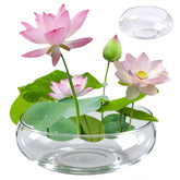 Lotus Bowl Planter with oval top opening for indoor planting