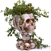 LovTocTic Skull Planter with detailed skull statue for stylish desk decor