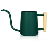 LTSUMI long spout watering can for indoor plants enables precise watering