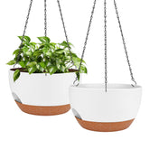 Lucieblessdesign 12-inch hanging planter with self-watering reservoir for consistent moisture
