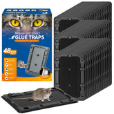 LULUCATCH indoor glue trap setup shows wall placement for quick pest capture