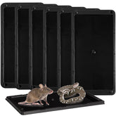 LULUCATCH large-tray mouse trap designed for secure capture in kitchens and homes