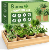 LUOJIBIE 8-Herb Indoor Garden Kit on a sunny windowsill provides easy access to fresh flavors.