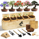 LUOJIBIE Bonsai Tree Kit box contents for stress-free starting hobby