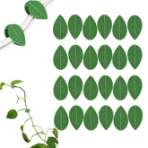 LUOTIVON plant climbing wall clip set securing vines on smooth surfaces